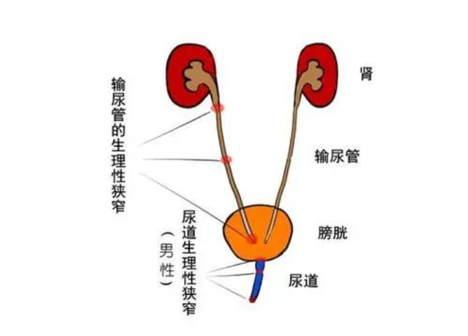 1722217473182456.png 1722217473182456.png