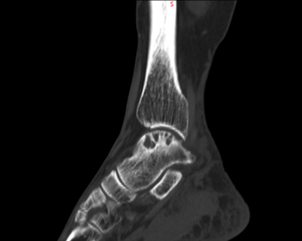 1726474024692786.png image.png